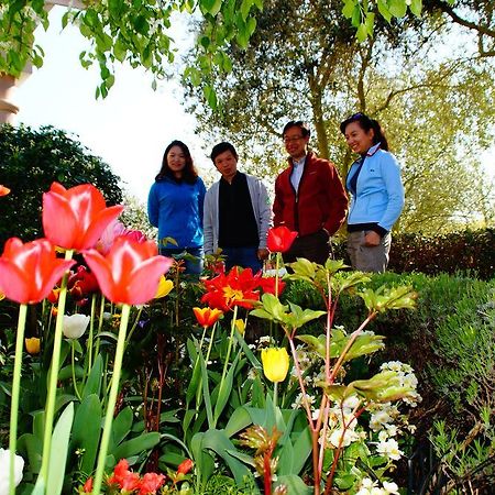 Olive House Bed And Breakfast Christchurch Bagian luar foto