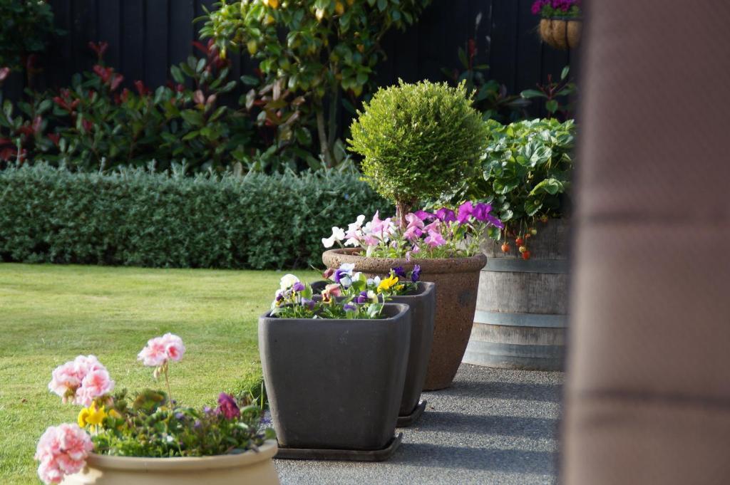 Olive House Bed And Breakfast Christchurch Bagian luar foto