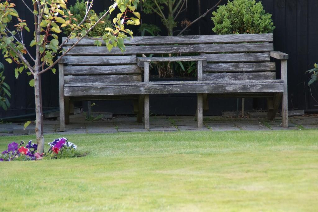 Olive House Bed And Breakfast Christchurch Bagian luar foto